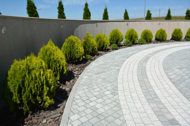 Best Custom Driveway Pavers  in Scanlon, MN